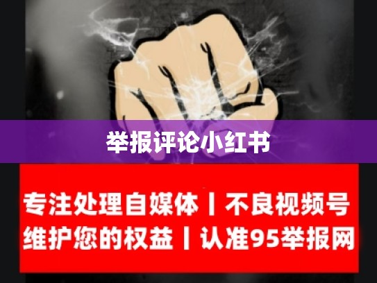 举报评论小红书