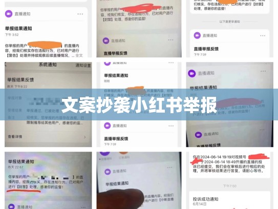 文案抄袭小红书举报
