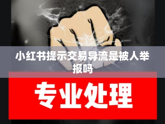 小红书提示交易导流是被人举报吗