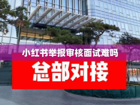 小红书举报审核面试难吗