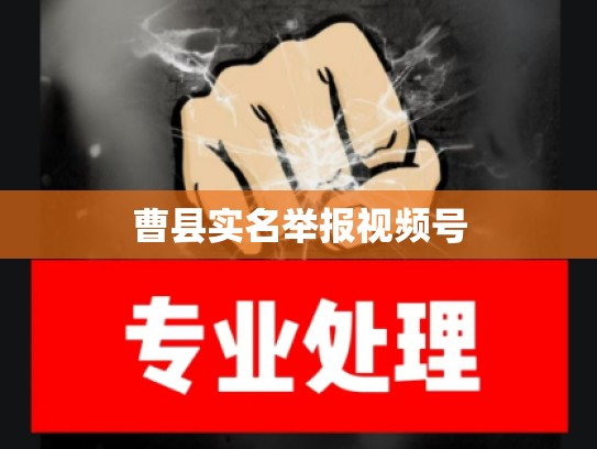 曹县实名举报视频号