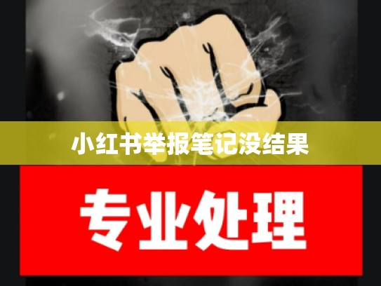 小红书举报笔记没结果