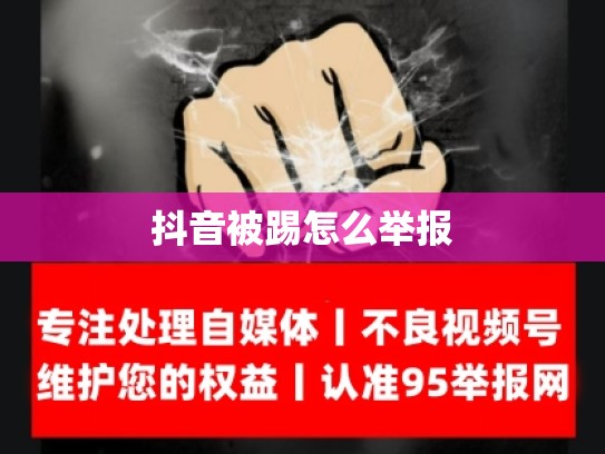 抖音被踢怎么举报