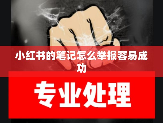 小红书的笔记怎么举报容易成功