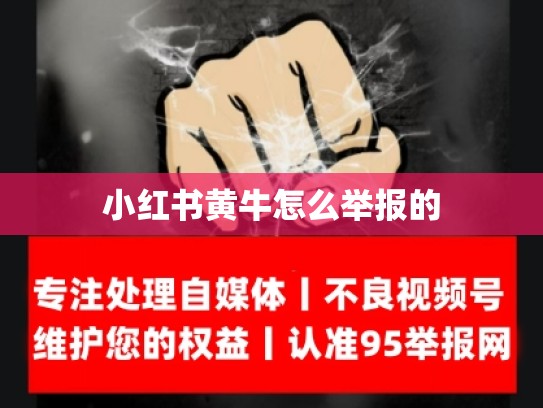 小红书黄牛怎么举报的
