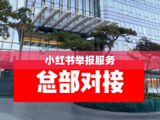 小红书举报服务