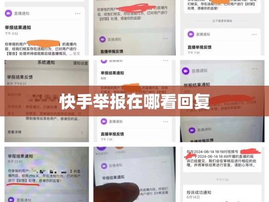 快手举报在哪看回复