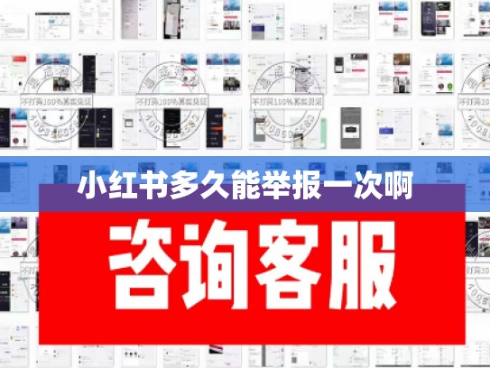 小红书多久能举报一次啊