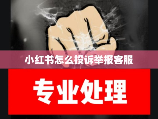 小红书怎么投诉举报客服