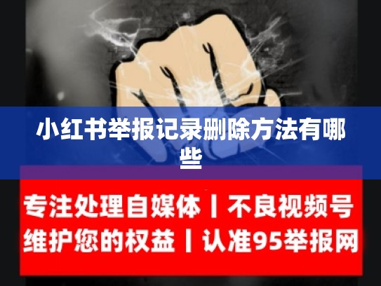 小红书举报记录删除方法有哪些