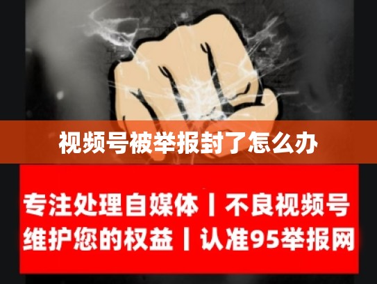 视频号被举报封了怎么办