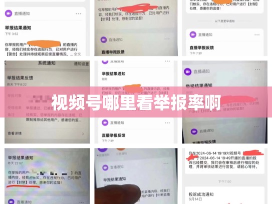 视频号哪里看举报率啊