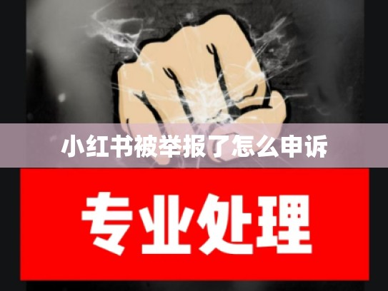 小红书被举报了怎么申诉