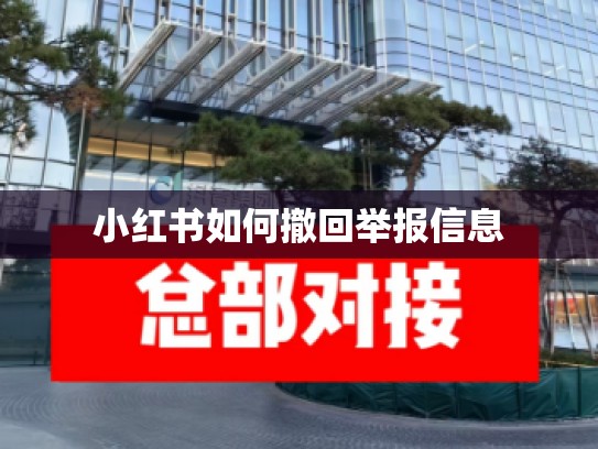 小红书如何撤回举报信息