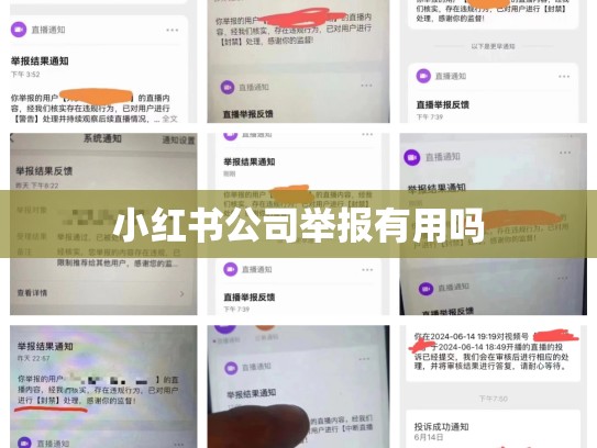 小红书公司举报有用吗