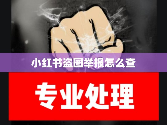 小红书盗图举报怎么查