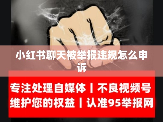 小红书聊天被举报违规怎么申诉
