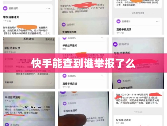 快手能查到谁举报了么