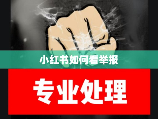 小红书如何看举报