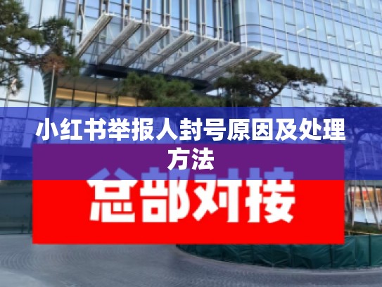 小红书举报人封号原因及处理方法
