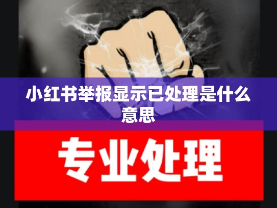 小红书举报显示已处理是什么意思