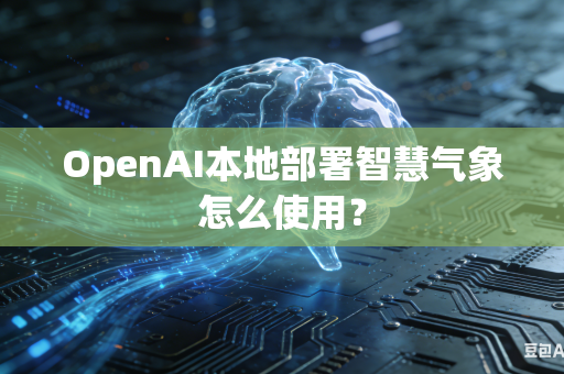 OpenAI本地部署智慧气象怎么使用？
