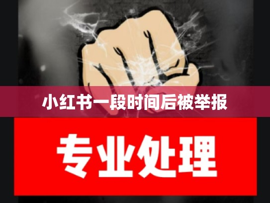 小红书一段时间后被举报