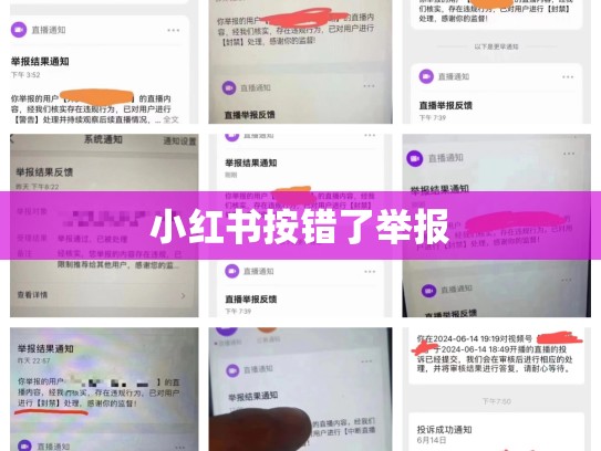 小红书按错了举报
