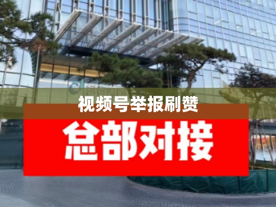 视频号举报刷赞