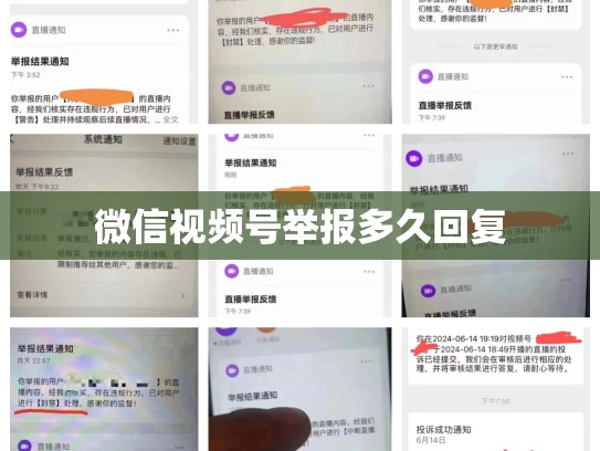 微信视频号举报多久回复