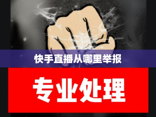 快手直播从哪里举报