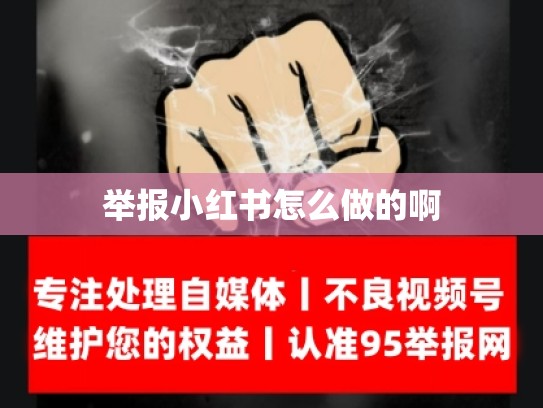 举报小红书怎么做的啊
