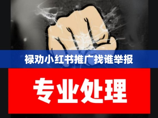 禄劝小红书推广找谁举报