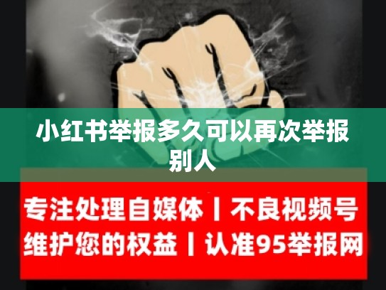 小红书举报多久可以再次举报别人