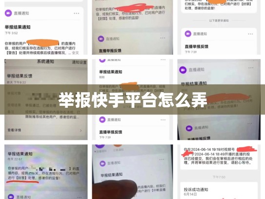 举报快手平台怎么弄