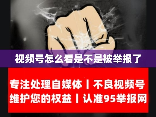 视频号怎么看是不是被举报了