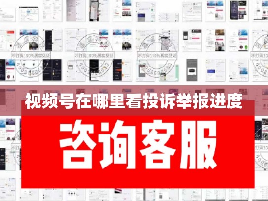 视频号在哪里看投诉举报进度