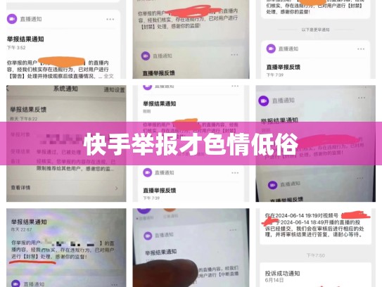 快手举报才色情低俗