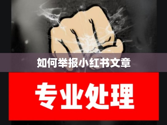 如何举报小红书文章