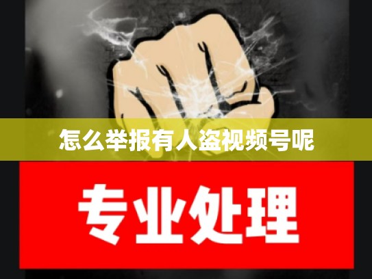 怎么举报有人盗视频号呢