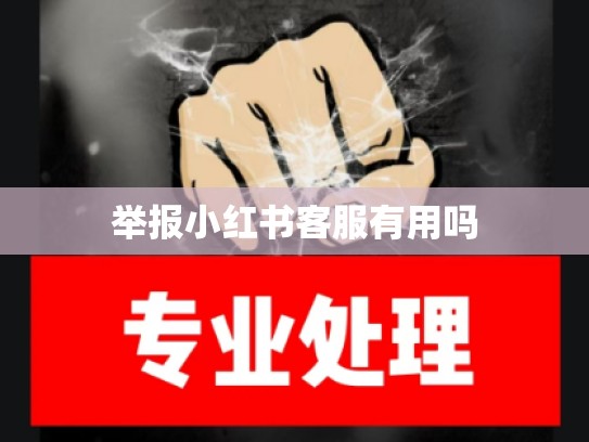 举报小红书客服有用吗