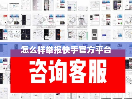 怎么样举报快手官方平台