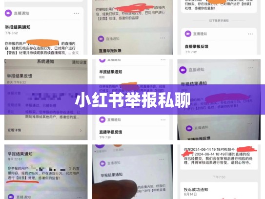 小红书举报私聊