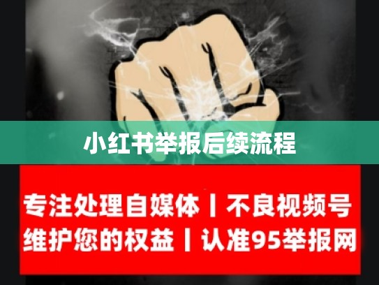 小红书举报后续流程
