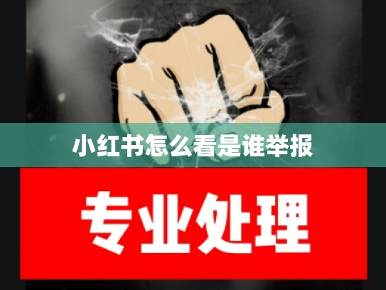 小红书怎么看是谁举报