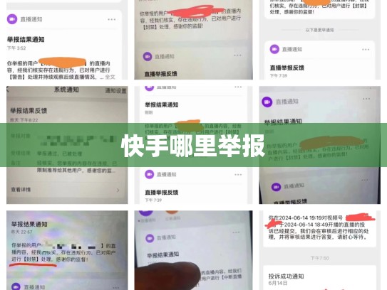 快手哪里举报