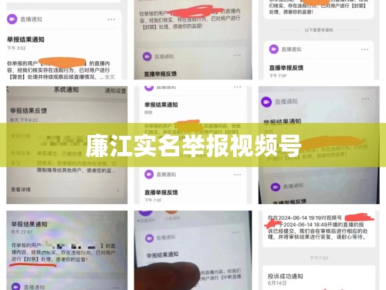 廉江实名举报视频号