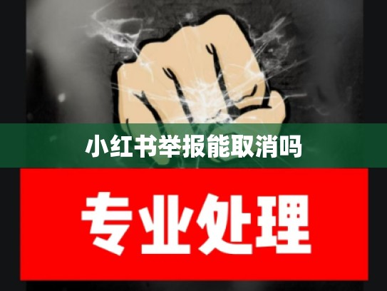 小红书举报能取消吗