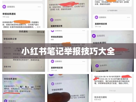 小红书笔记举报技巧大全
