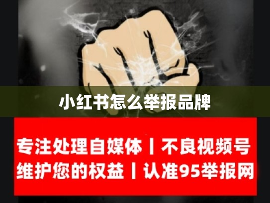 小红书怎么举报品牌